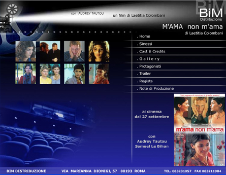 Bim Distribuzione: Minisiti Standard 2002